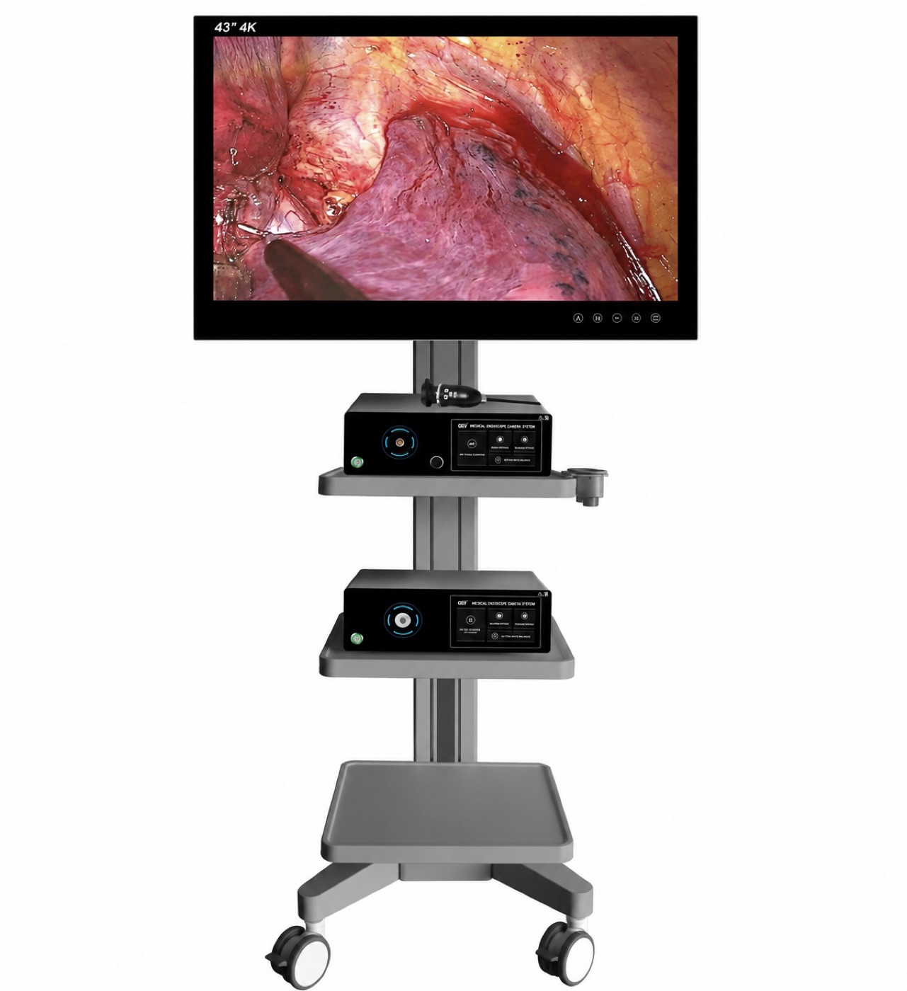 ENT Full HD Endoscopic System