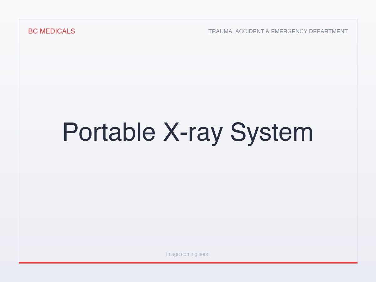Portable X-ray System