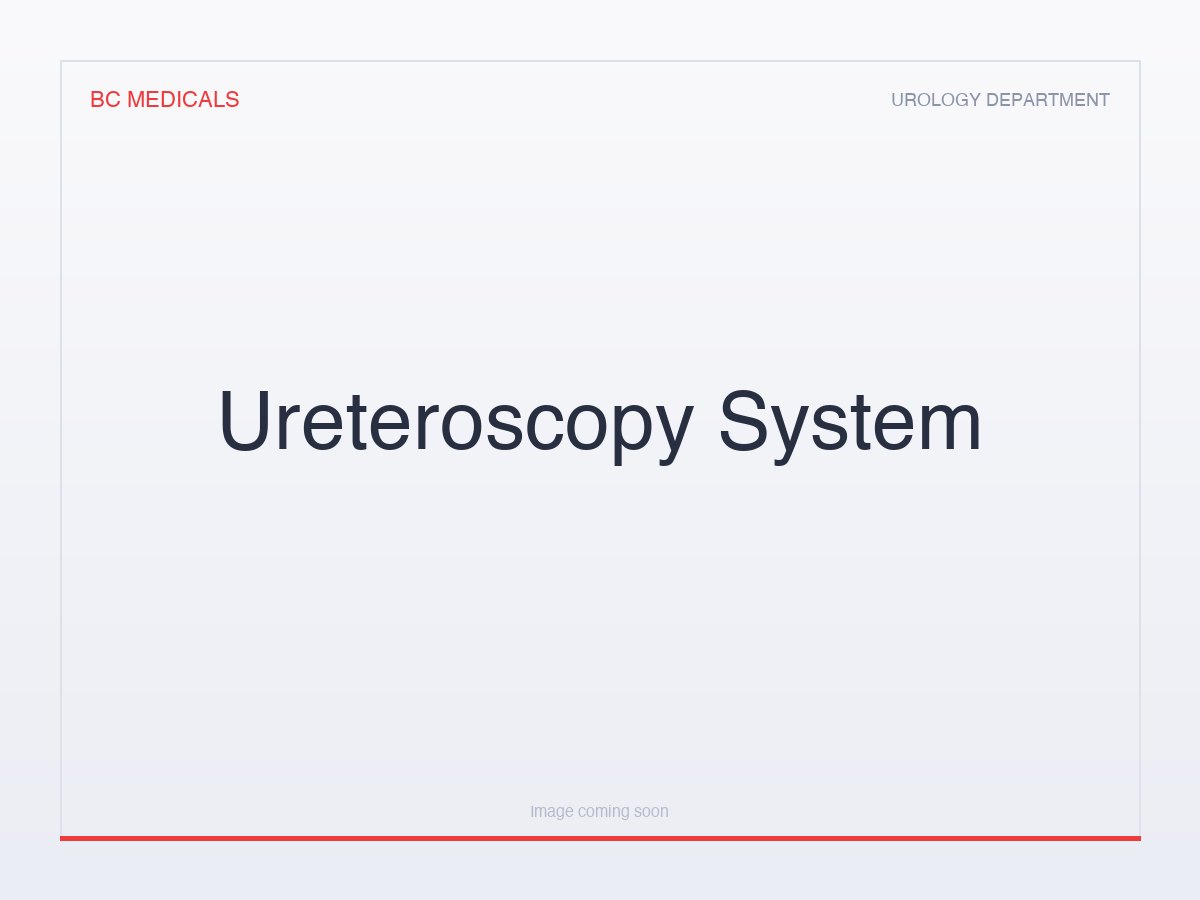 Ureteroscopy System