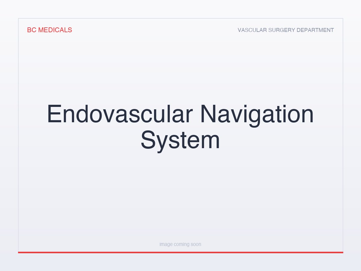 Endovascular Navigation System